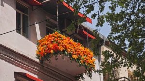 АРМЕНИЯ вне Еревана 🇦🇲 Татев, Гарни, Гегард, Гюмри — честный опыт туриста | Часть 3