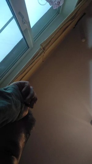 играю в бравл старс