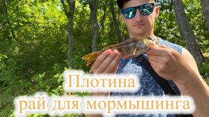 Плотина - рай для мормышинга или как мы не застряли в грязи до вторника