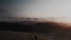 #7 Красивое Видео Природы