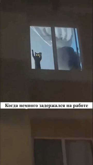 Когда задержался на работе смотреть онлайн