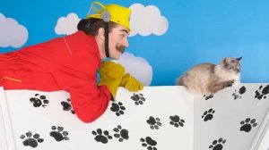 Строим Домики для Животных # Челленджи ч. 2