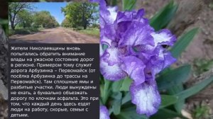 Николаев 26 мая 2026 года (новости)