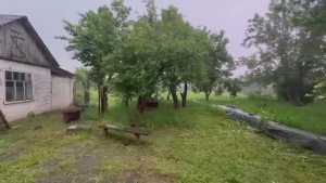 Жизнь вне орхидей -  Ловлю МОМЕНТЫ  привёз с собой в дом на Юге стихию