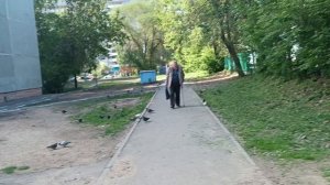 Анекдоты от автора