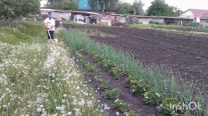 24/05 2026 /чем сегодня занималась/как живут в русской деревне..