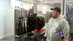 Семья Мирошниченко развивает под Севастополем винодельню, сыроварню и овчарню