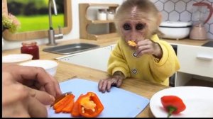 Чудесная жизнь маленькой обезьянки 2ч.🙊🐒🙉🦧