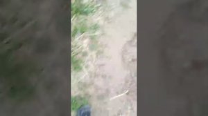 прятки 2