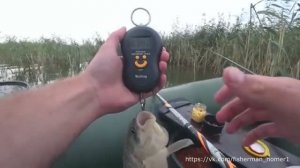 Вот это ПОРОСЯТА клюют НА ЧЕСНОК Караси ПОД КИЛОГРАММ на ПОПЛАВОЧНУЮ УДОЧКУ