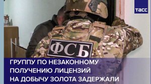 В Забайкалье задержали группу по незаконному получению лицензий на добычу золота