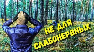 Находки в лесу. НАДО ИМ РУКИ ОБОРВАТЬ ЗА ТО, ЧТО ОНИ С НЕЙ СДЕЛАЛИ. КАК ОНИ МОГЛИ ТАКОЕ НАТВОРИТЬ