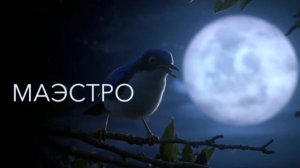 Маэстро. Слова С.Морозов, исп.ИИ