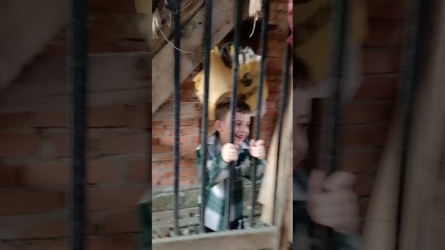 что дальше закинет мяч смотреть онлайн