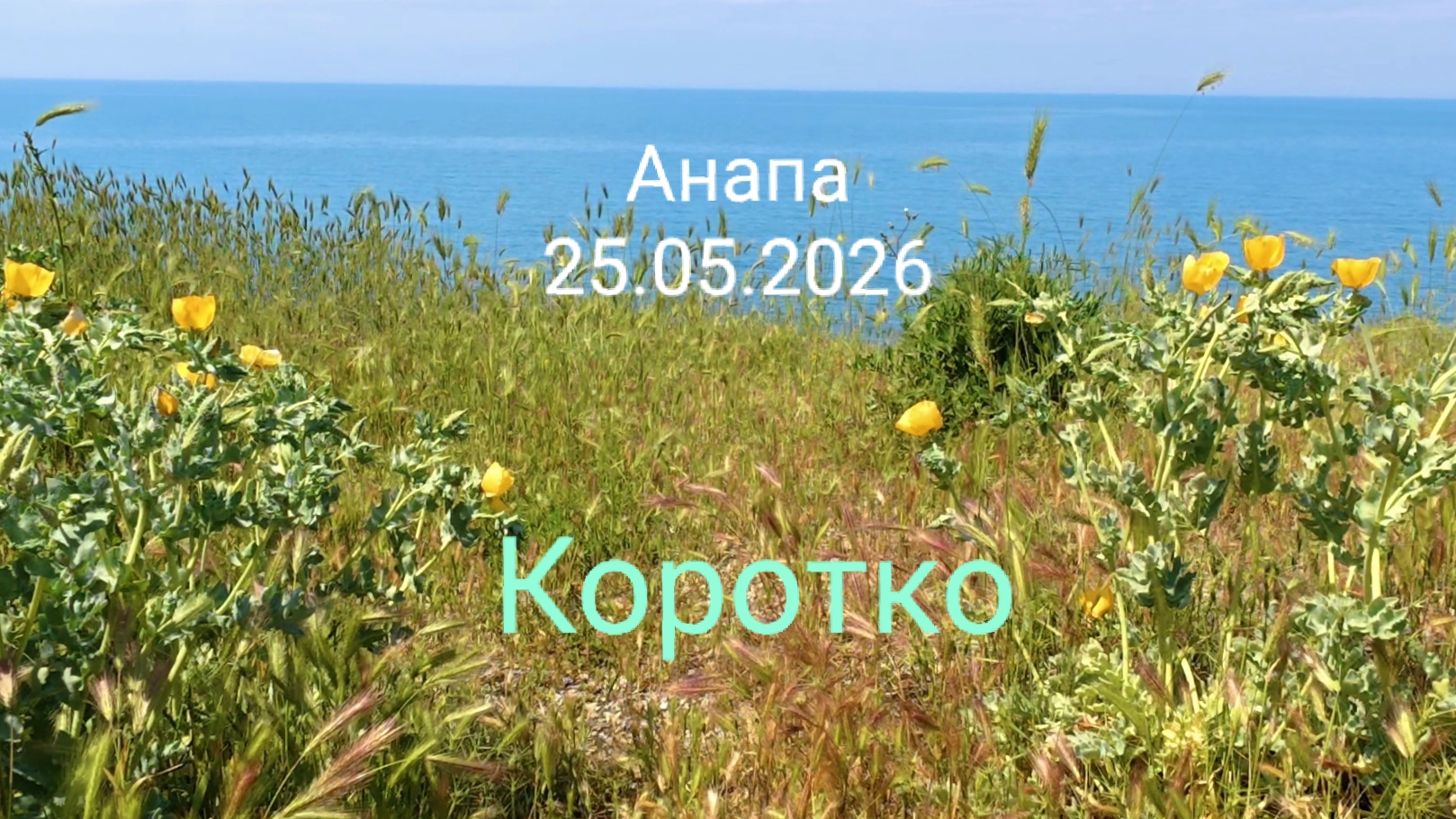 Анапа 25.05.2026 Коротко смотреть онлайн