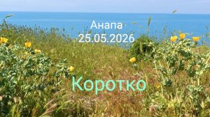 Анапа 25.05.2026 Коротко