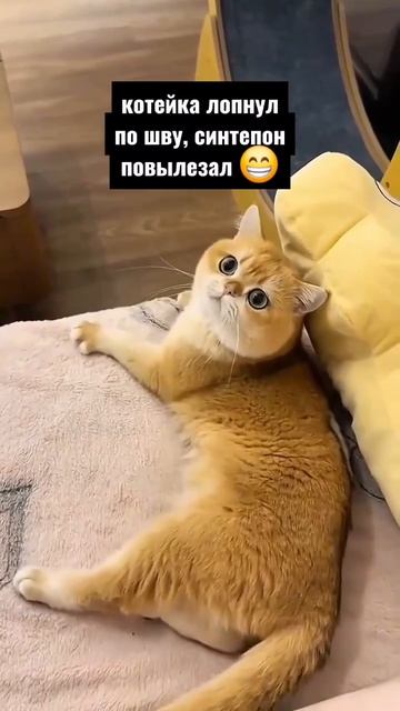 COOLCLIPS_259_подписывайся смотреть онлайн