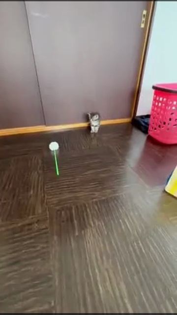 COOLCLIPS_295_подписывайся смотреть онлайн
