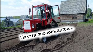 трактор Т-25 пахота продолжается.