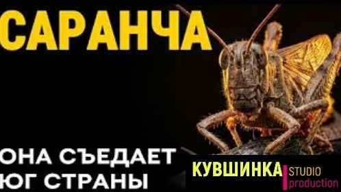 Саранча. Она съедает юг страны смотреть онлайн