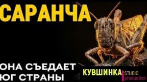 Саранча. Она съедает юг страны