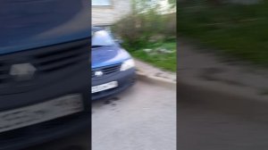 проклятый колаб