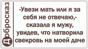 -Увези мать или я за себя не отвечаю,- сказала я мужу, увидев, что натворила свекровь на моей даче
