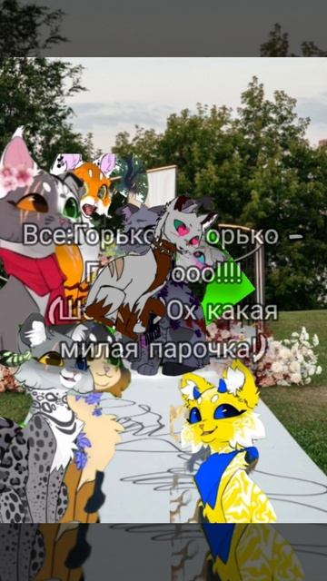 свадьба💖💍 смотреть онлайн