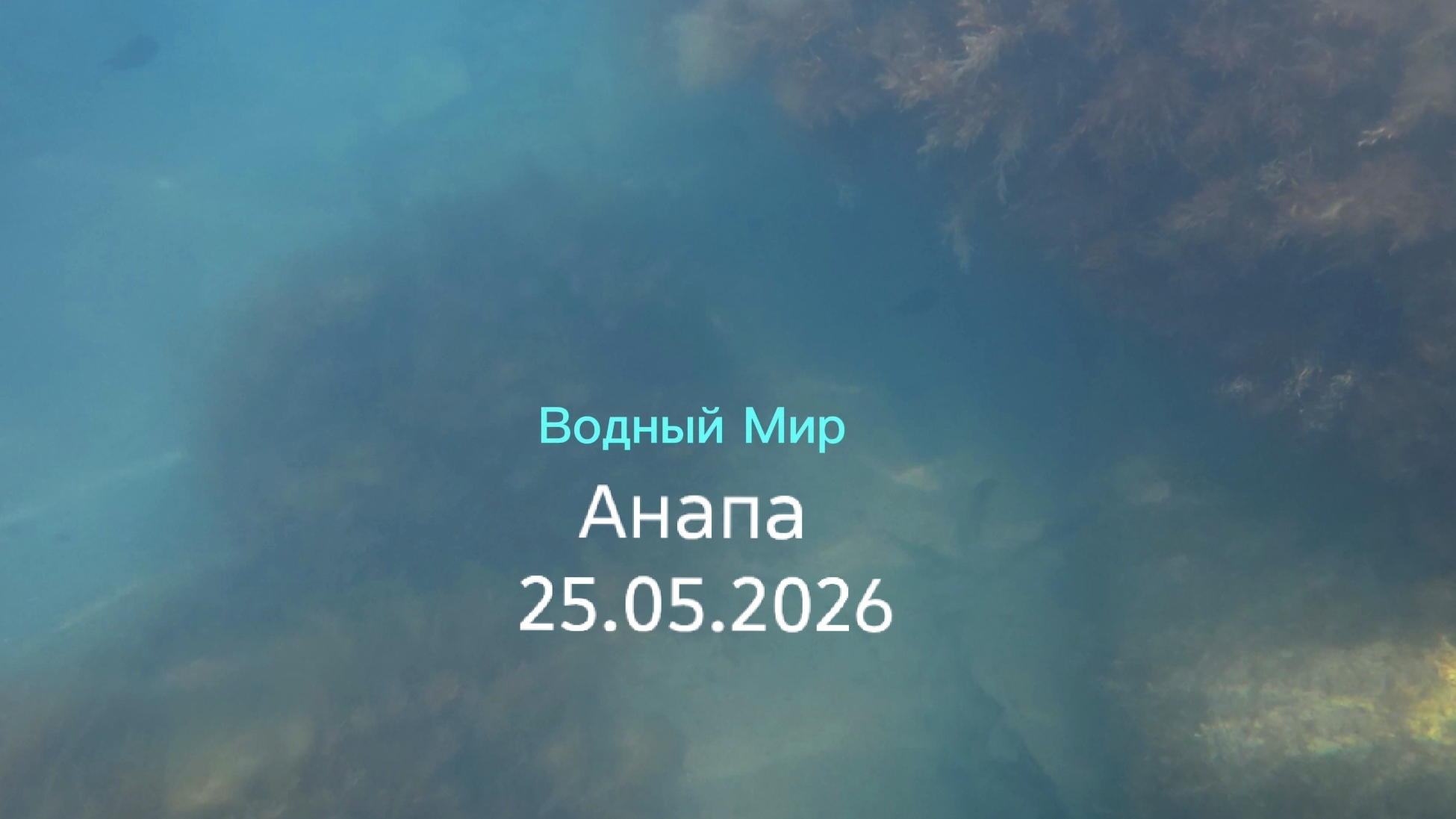 Анапа 25.05.2026 Водный Мир смотреть онлайн