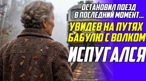 Истории из жизни! Старушка с волком на железнодорожных путях Аудио Рассказы, Истории