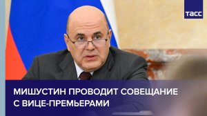 Мишустин проводит совещание с вице-премьерами