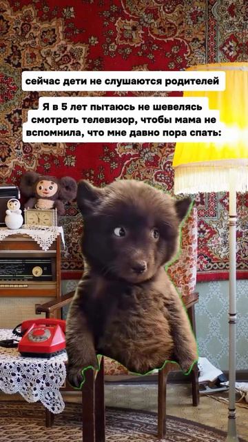 COOLCLIPS_089_подписывайся смотреть онлайн