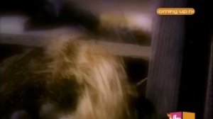 The Jackson 5 — Who's Lovin' You (Official Video)