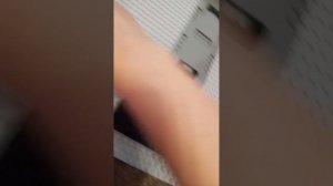 1443.mp4
