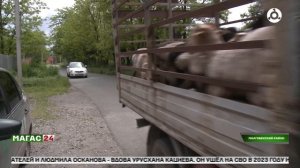 В Малгобекском районе прошла благотворительная акция