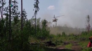 Жителям Коми напомнили о правилах пожарной безопасности в лесах