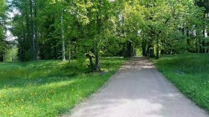 Санкт-петербург. т.Н.Карамзин 7й день. 24.05.2026г.