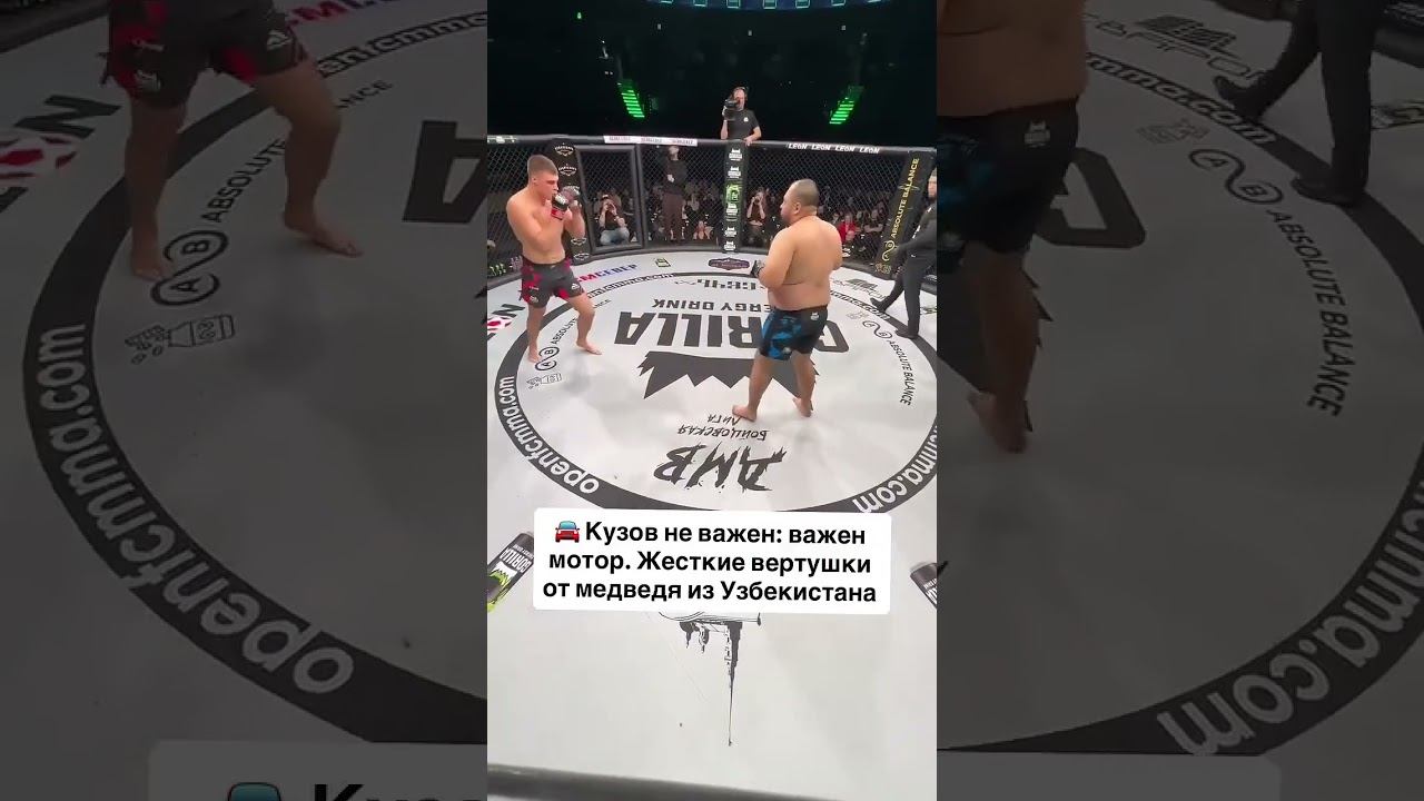 Жесткие вертушки от медведя из Узбекистана смотреть онлайн