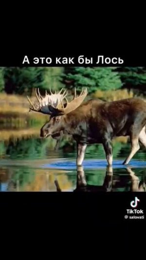 очень странно(антилогика у мира)