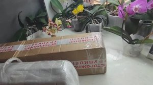 Орхидеи - Подарки от Орхо-Подружек продолжаются.