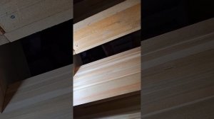 1000059524.mp4 (Собака наблюдает за устройством лестницы на 2-ой этаж в доме А-фрейм)