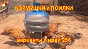 Кормушки и поилки для кур своими руками 256 🪚✂️ Пошаговая инструкция как сделать 🐔 🐓❣️