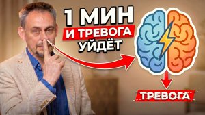 ДЫШИ ТАК 1 минуту: тревога исчезнет, а мозг «перезагрузится» мгновенно!