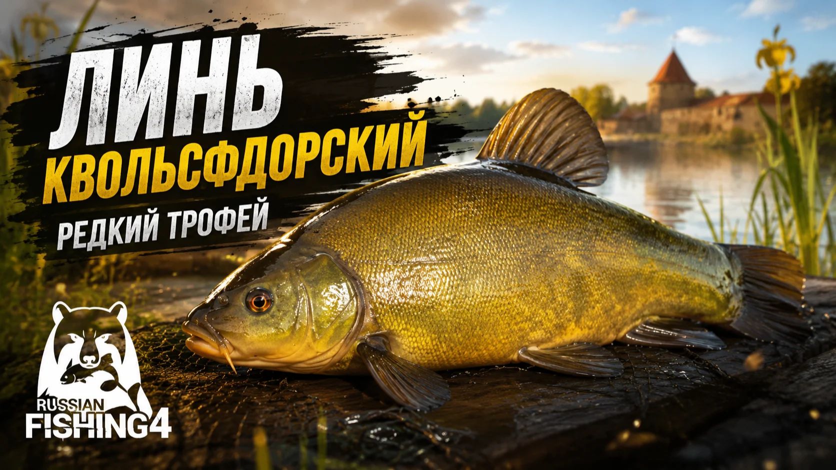 [Фидер] Точка на 