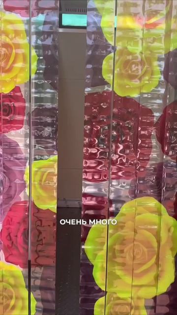 Туалеты и кладбища как показатель развития страны: опыт Южной Кореи