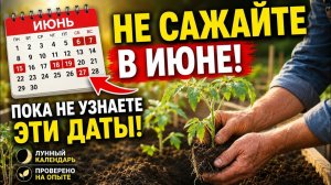 Посевной календарь лунный июнь 2026 Роковая ошибка дачников в июне, из-за которой гибнет весь урожай