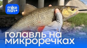 Голавль на деликатные снасти на микроречках