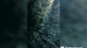 «Федор Румянцев душа отделения:Как крошечный эпизод стал легендой четырёх сериалов?»