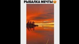 #смешныевидео -1440