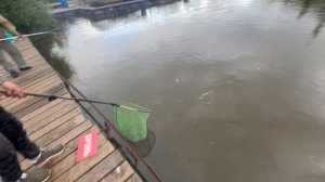 Спасение удочки